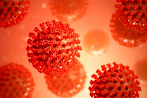 Zum Artikel "Hinweise zum Coronavirus und dessen Auswirkungen auf die FAU"